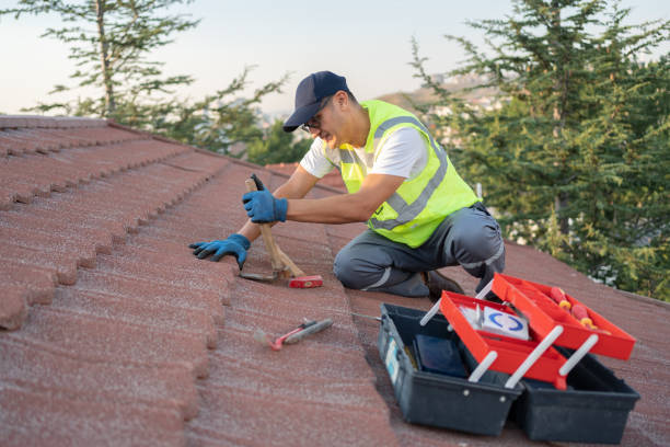 Best Storm Damage Roof Repair  in Mitchell, IL