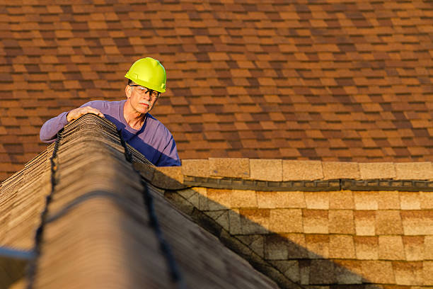 Best Roof Gutter Cleaning  in Mitchell, IL